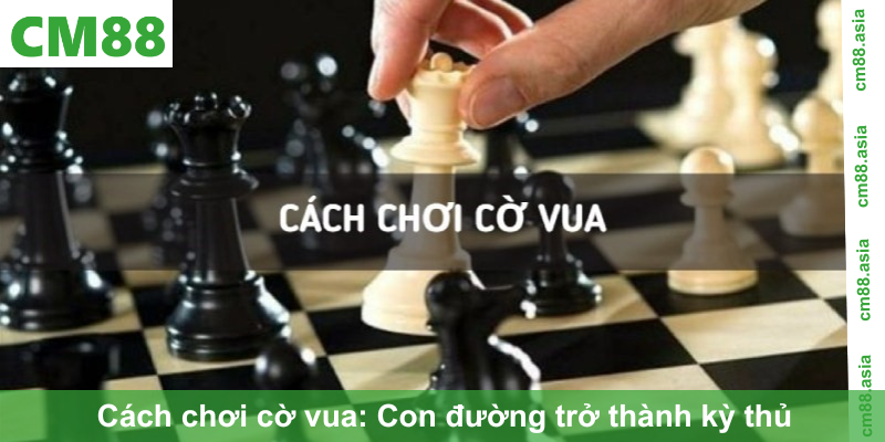 Cách chơi cờ vua: Con đường trở thành kỳ thủ