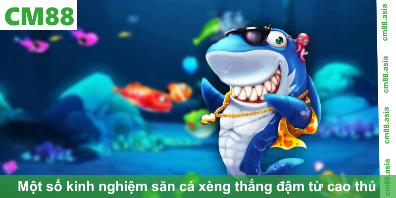 Một số kinh nghiệm săn cá xèng thắng đậm từ cao thủ